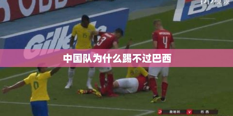 家里适合种什么花？