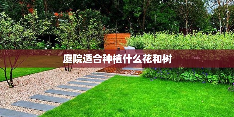 庭院适合种植什么花和树
