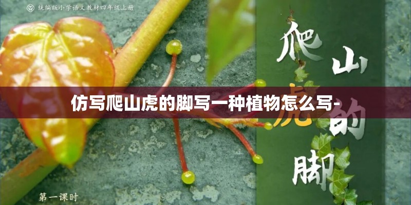 仿写爬山虎的脚写一种植物怎么写-