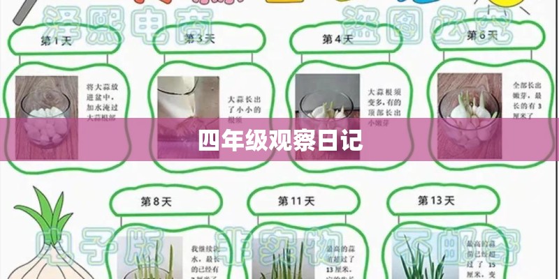 四年级观察日记