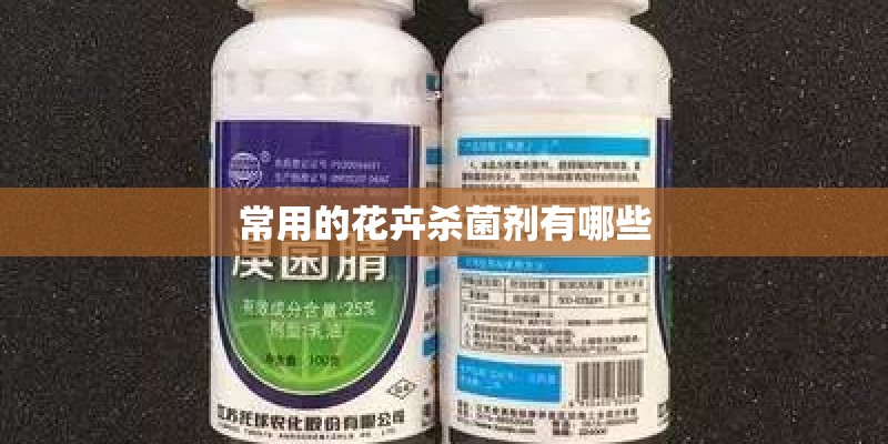 常用的花卉杀菌剂有哪些