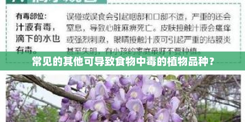 常见的其他可导致食物中毒的植物品种？