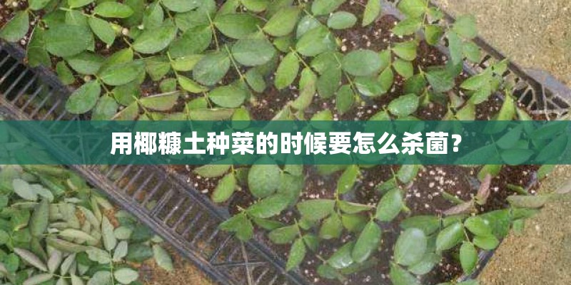 中国园林的特点