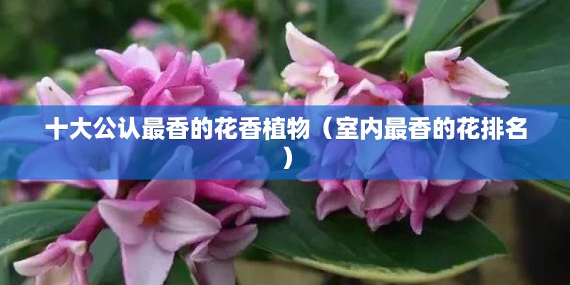 中国园林的特点