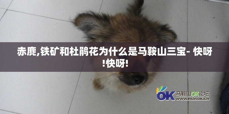 赤麂,铁矿和杜鹃花为什么是马鞍山三宝- 快呀!快呀!