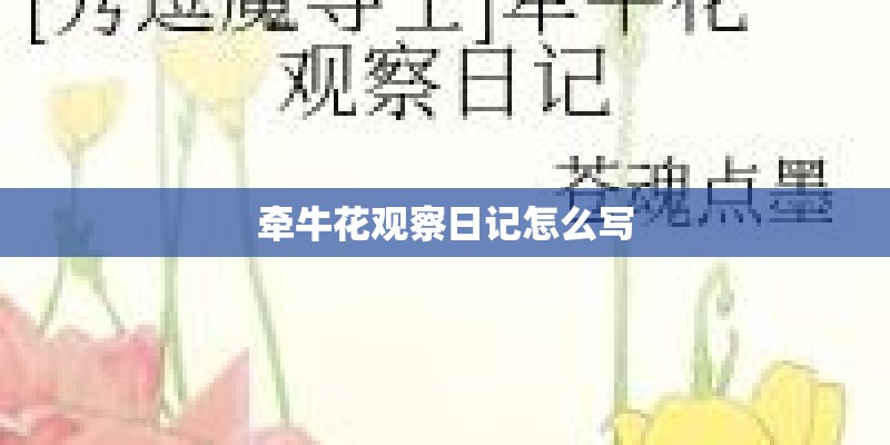 牵牛花观察日记怎么写