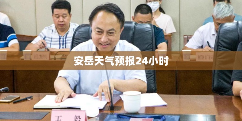 安岳天气预报24小时