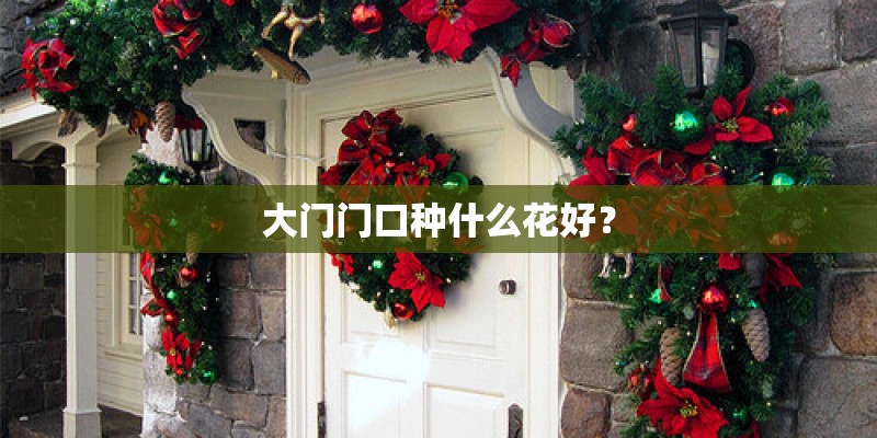 大门门口种什么花好？