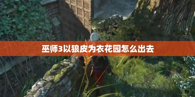 巫师3以狼皮为衣花园怎么出去