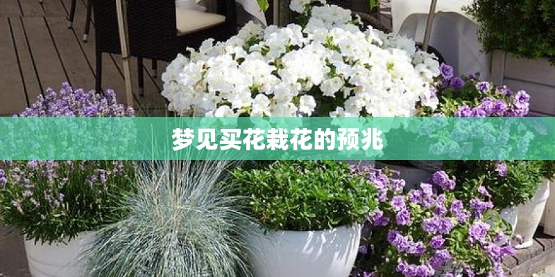 梦见买花栽花的预兆