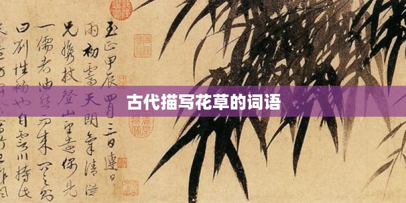 古代描写花草的词语