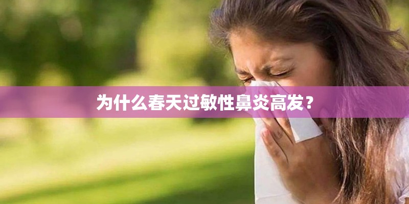 为什么春天过敏性鼻炎高发？