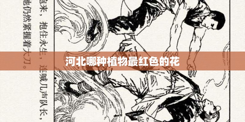 河北哪种植物最红色的花