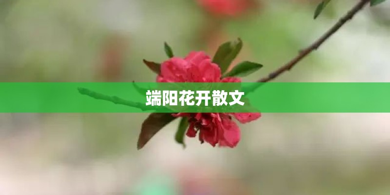端阳花开散文