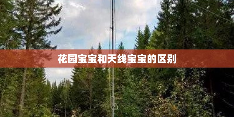 花园宝宝和天线宝宝的区别