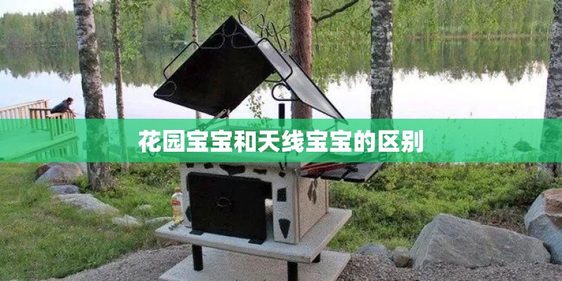 凤梨花养殖技术？