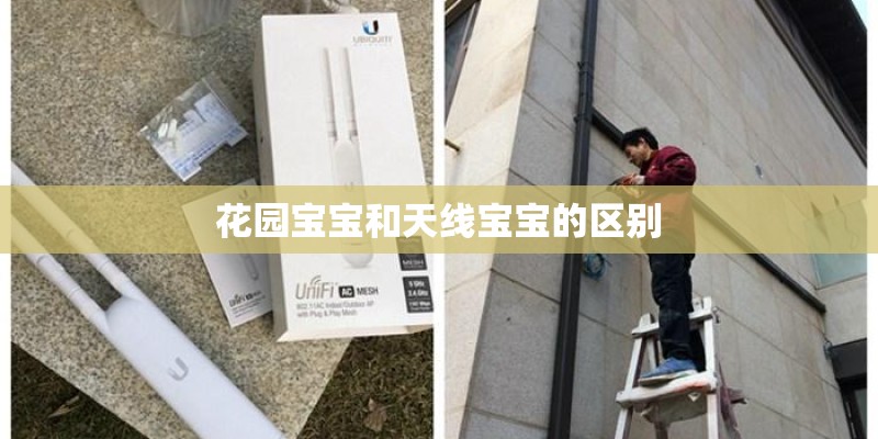 花园宝宝和天线宝宝的区别