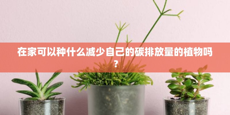 在家可以种什么减少自己的碳排放量的植物吗？