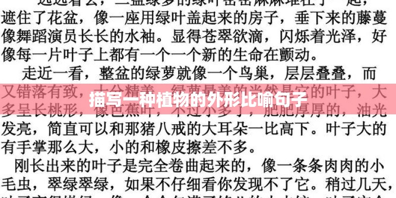 藤本药用植物苏木的栽培方法有哪些？
