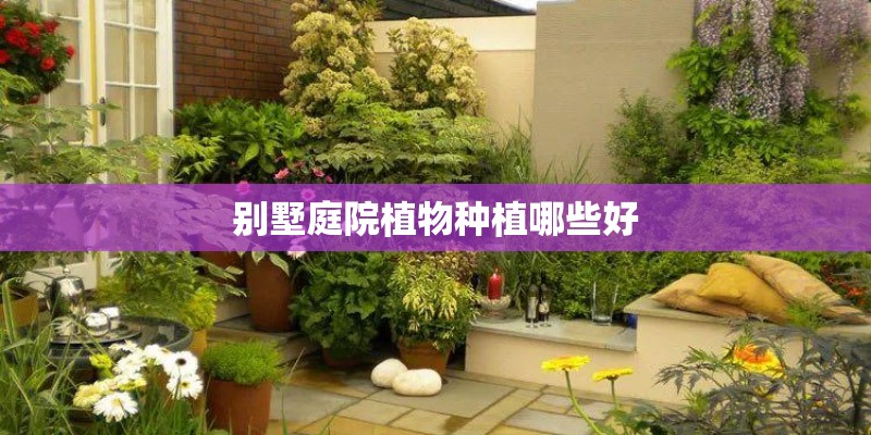 别墅庭院植物种植哪些好