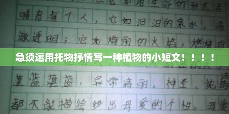急须运用托物抒情写一种植物的小短文！！！！