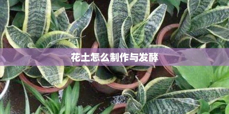花土怎么制作与发酵