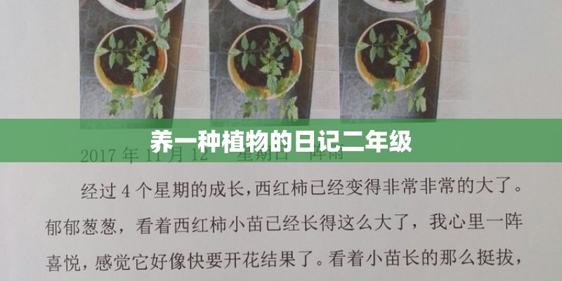 养一种植物的日记二年级