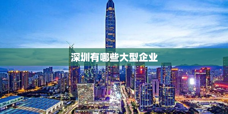 深圳有哪些大型企业