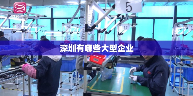 深圳有哪些大型企业