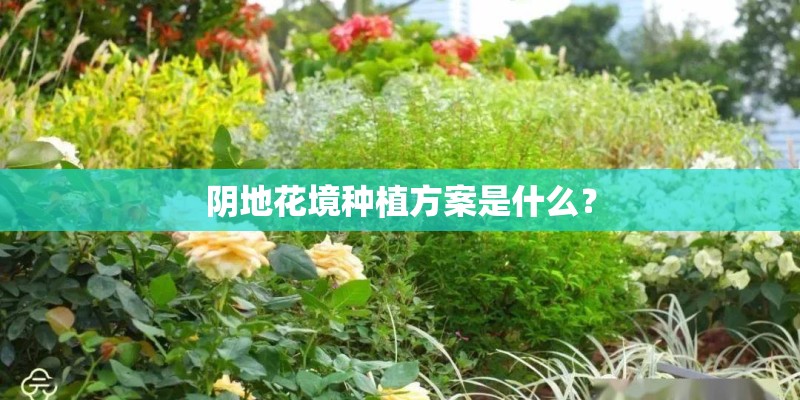 阴地花境种植方案是什么？
