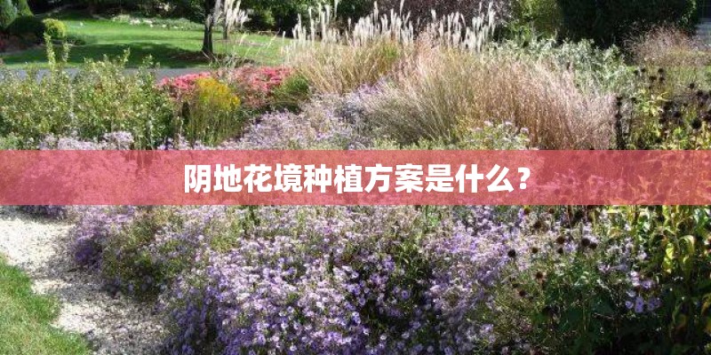 阴地花境种植方案是什么？