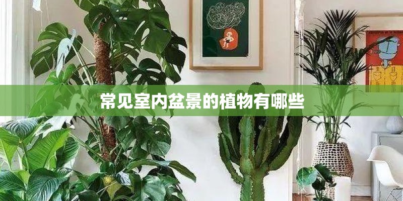 常见室内盆景的植物有哪些