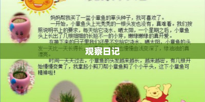 观察日记