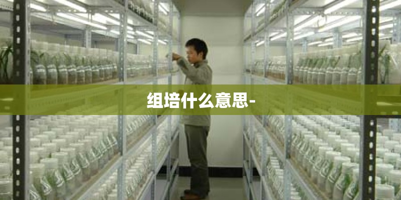 组培什么意思-