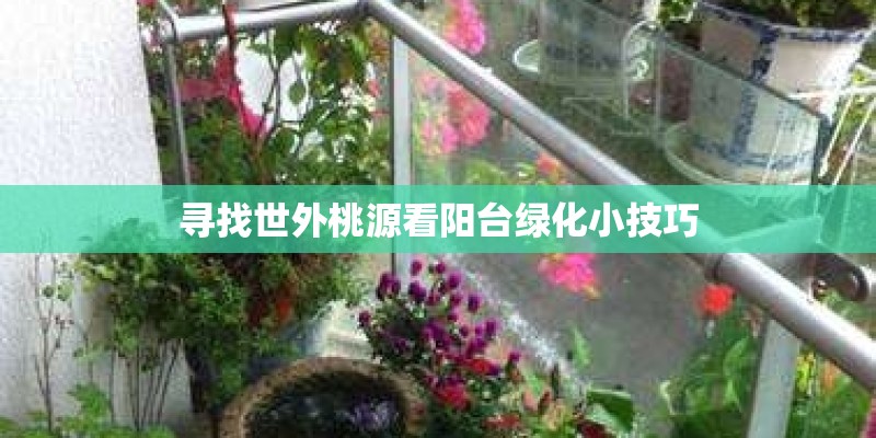 寻找世外桃源看阳台绿化小技巧