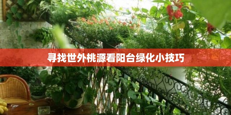 寻找世外桃源看阳台绿化小技巧