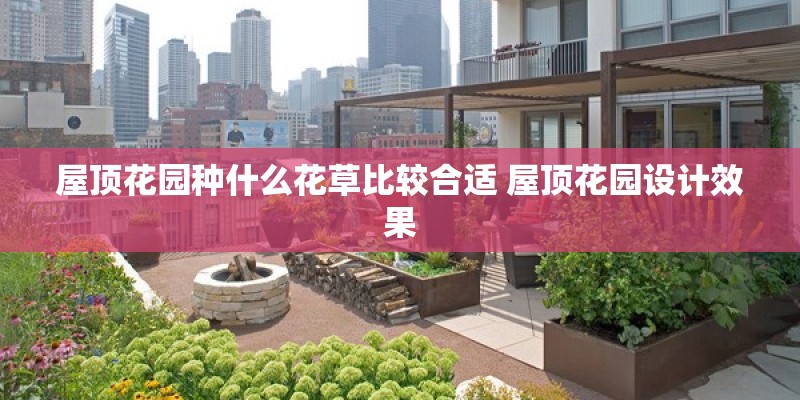 屋顶花园种什么花草比较合适 屋顶花园设计效果