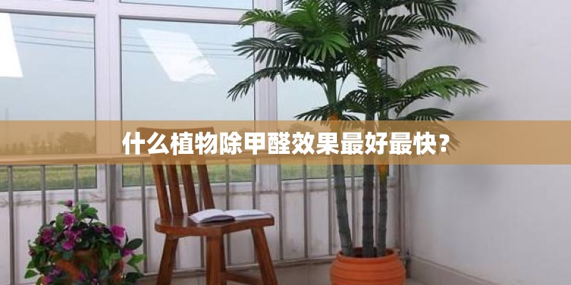 什么植物除甲醛效果最好最快？