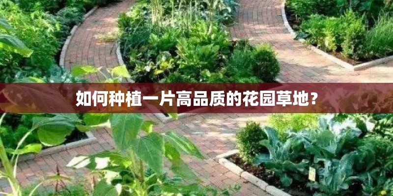 如何种植一片高品质的花园草地？