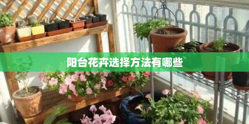 阳台花卉选择方法有哪些