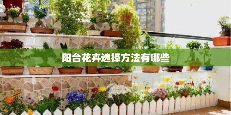 阳台花卉选择方法有哪些