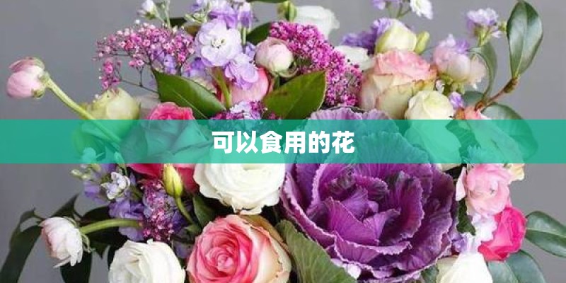 可以食用的花