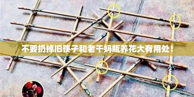 不要扔掉旧筷子和老干妈瓶养花大有用处！