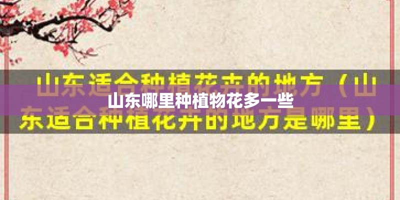 山东哪里种植物花多一些