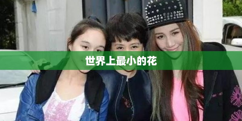 世界上最小的花