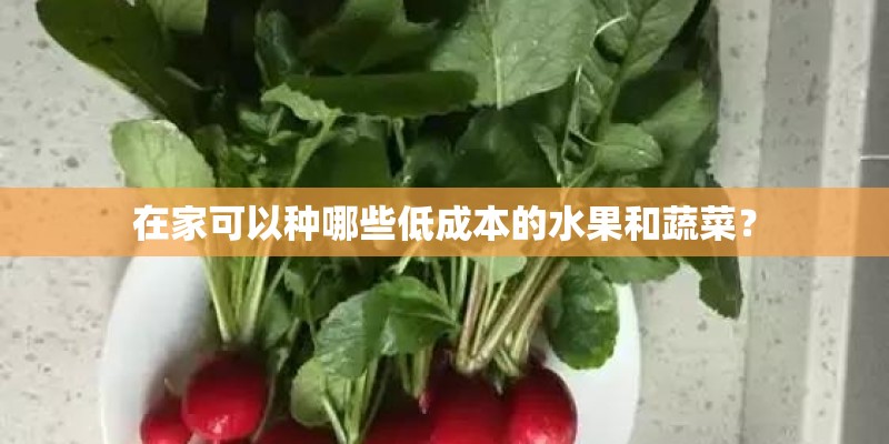 在家可以种哪些低成本的水果和蔬菜？