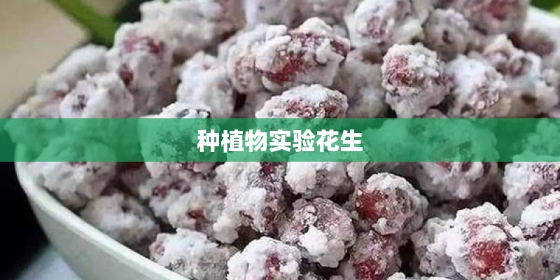 种植物实验花生