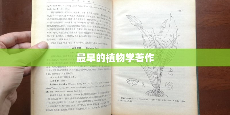 最早的植物学著作