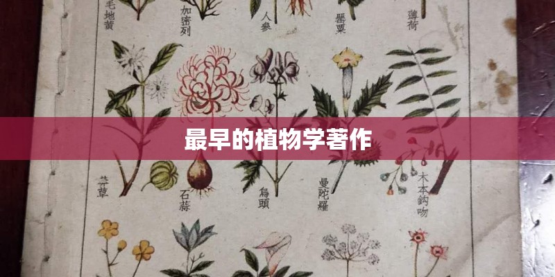 最早的植物学著作