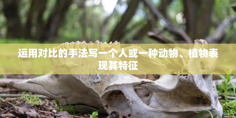 运用对比的手法写一个人或一种动物、植物表现其特征